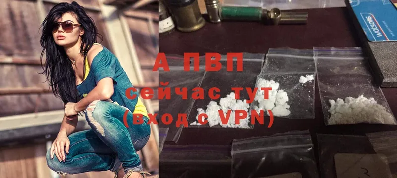 Альфа ПВП СК КРИС  MEGA зеркало  Чухлома 