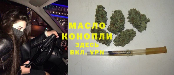 индика Бронницы