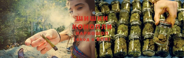 mix Туринск