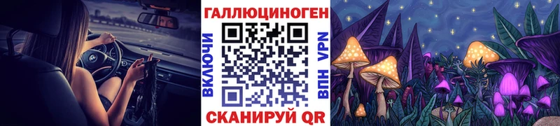 где можно купить   Чухлома  Галлюциногенные грибы Psilocybe 